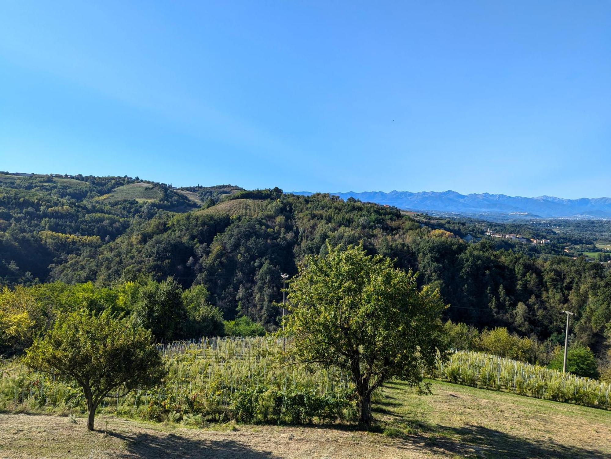 Casa Felice Villa Farigliano Exterior photo